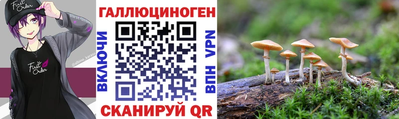 Псилоцибиновые грибы мухоморы  Чайковский 